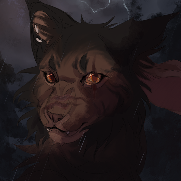 Shadowclan Original Characters (OCs) | CharacterHub