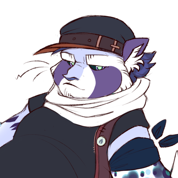 Raccoon Original Characters (OCs) | CharacterHub