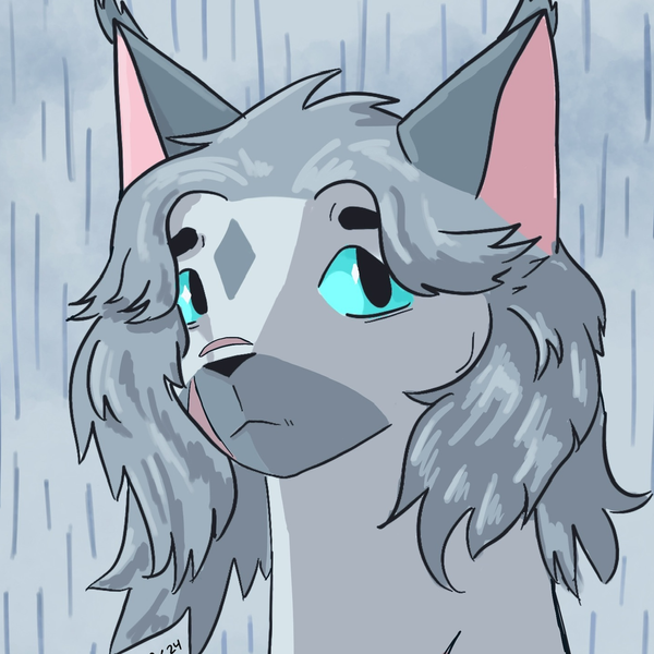 Shadowclan Original Characters (OCs) | CharacterHub