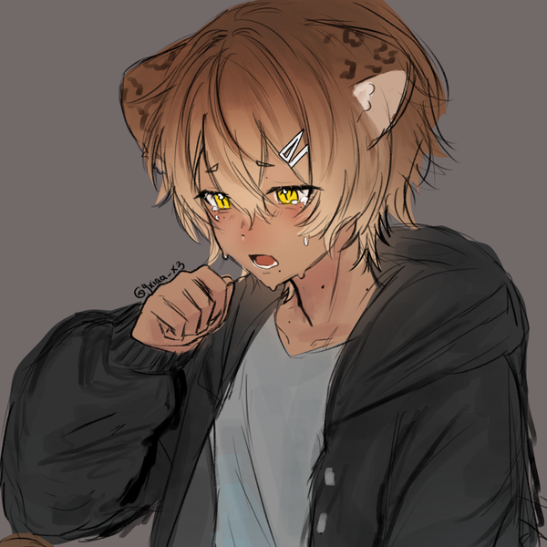 Leopard Original Characters (OCs) | CharacterHub