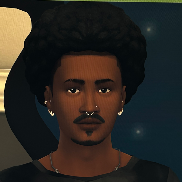The Sims Original Characters (OCs) | CharacterHub
