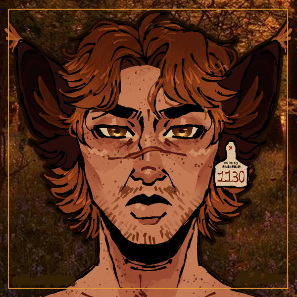 Ranger Original Characters (OCs) | CharacterHub