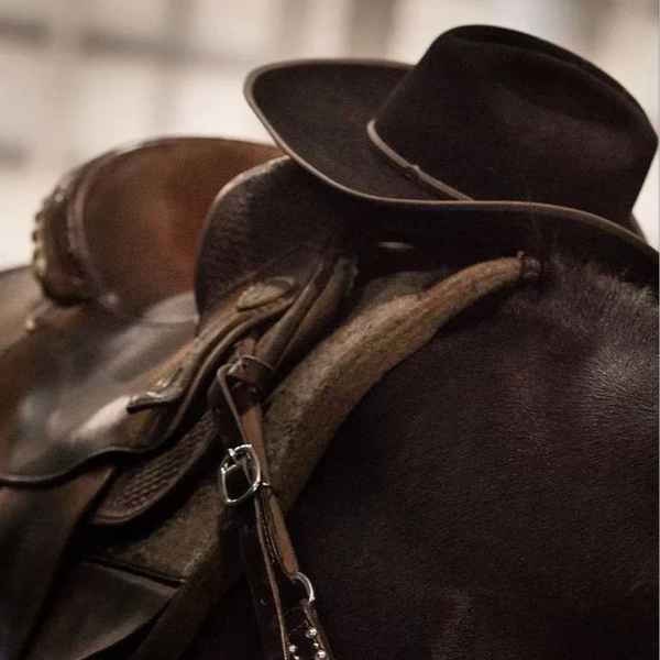 Outlaw Original Characters (OCs) | CharacterHub