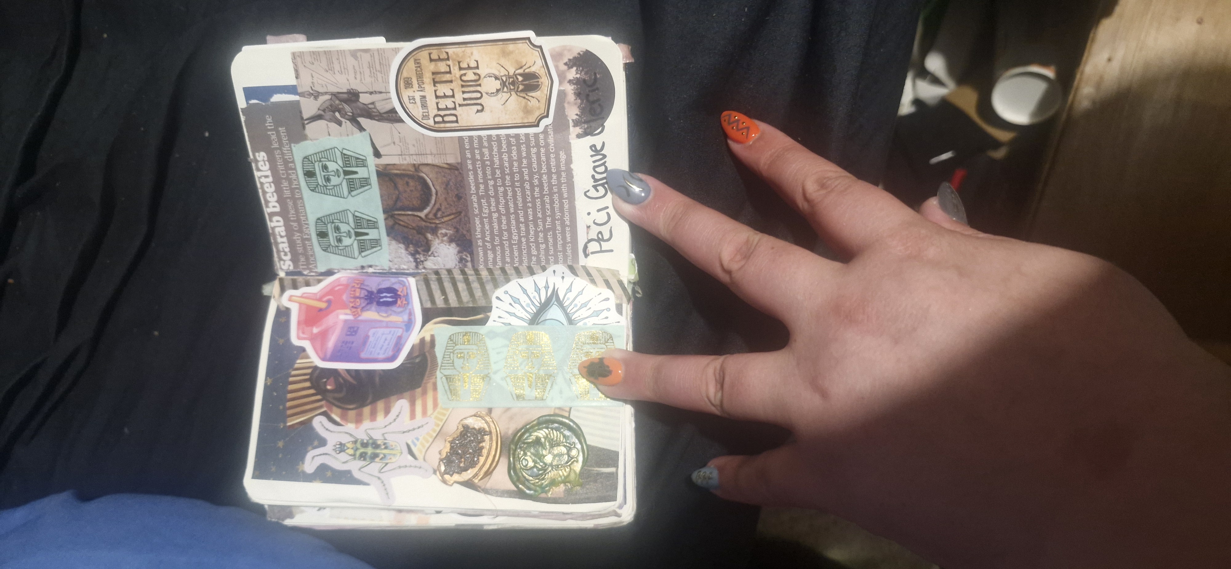 i wanna put your oc in my journal raffle