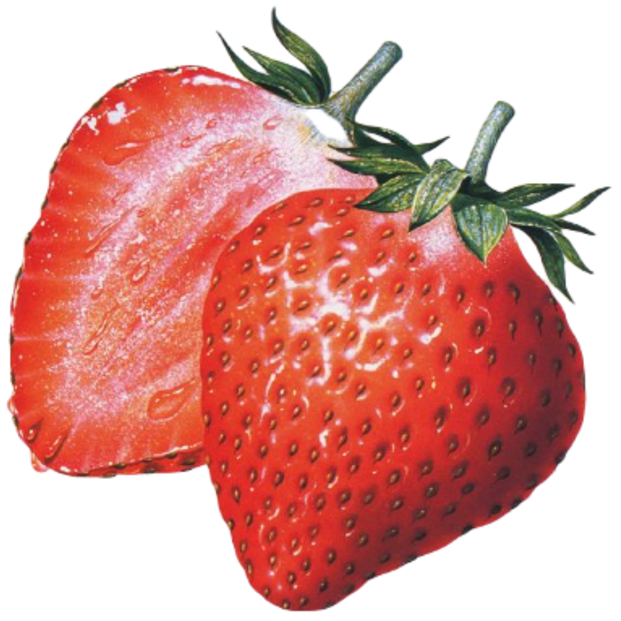 Dungeons & Dragons intelligence overview